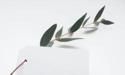 Featured image of post 四月第四周